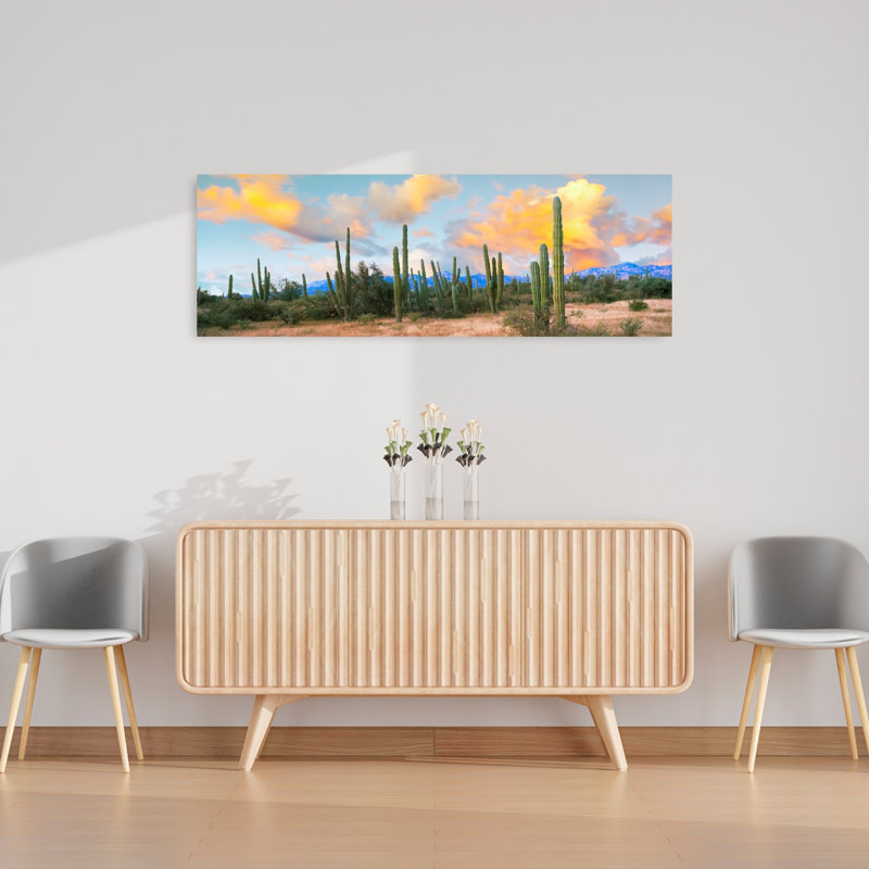 Cardon Cactus Plants In A Forest Loreto Baja California Sur Mexico by Leo L. Larson - Wrapped Canvas Panoramic Print