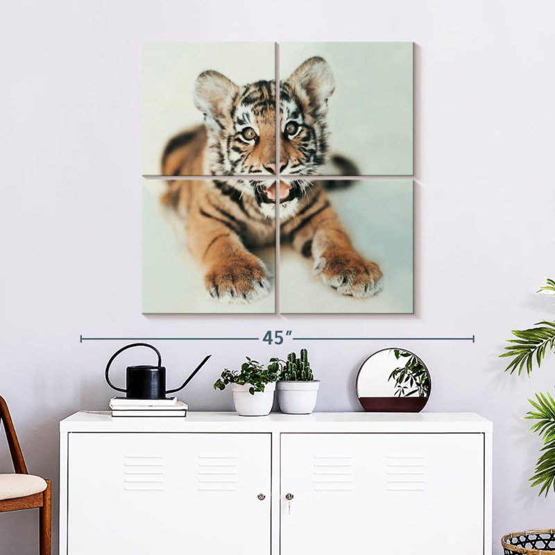 Brampt Indira I, 74" H x 74" W