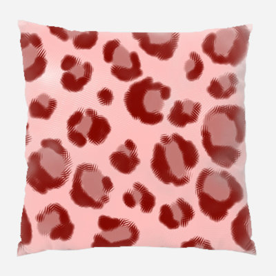 Coussin décoratif transparent