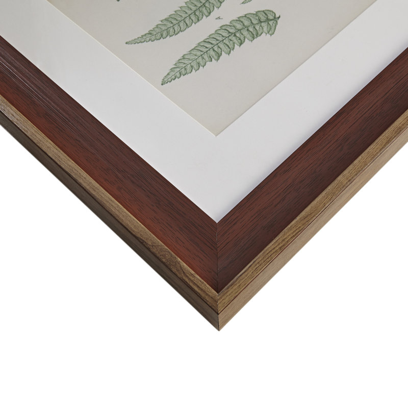 Lady Fern Collection Green Framed Botanical Wall Art Set