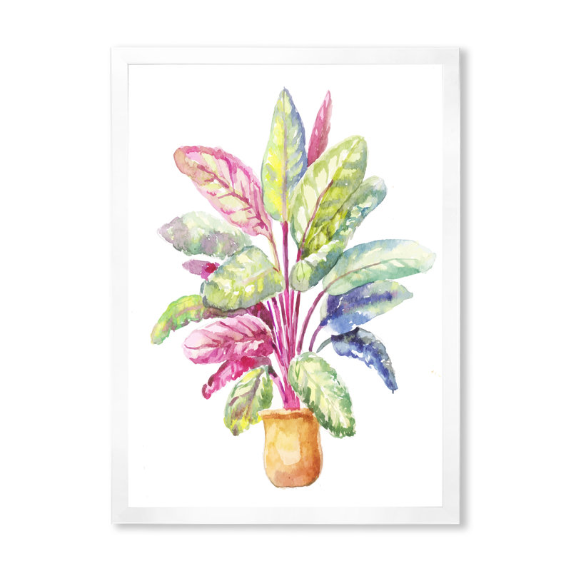 Reproduction d'art sur toile, plante traditionnelle en pot Calathea Makoyana, H 36 po x l 24 po x P 1 po, Cadre photo blanc