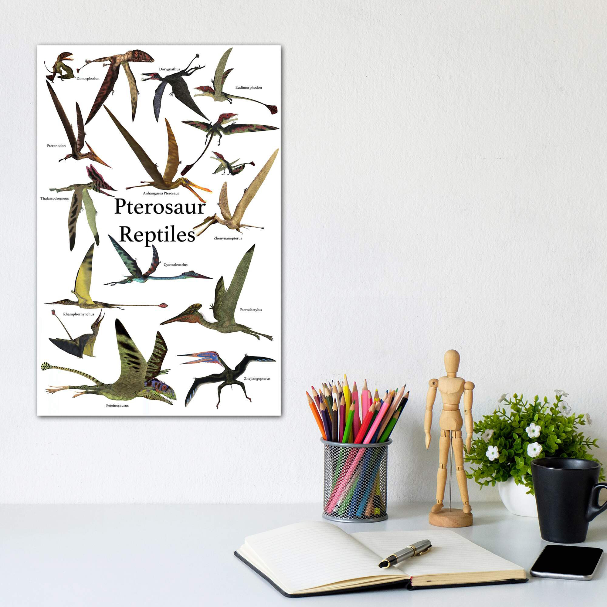 Pteranodon - Signed Fine Art Print