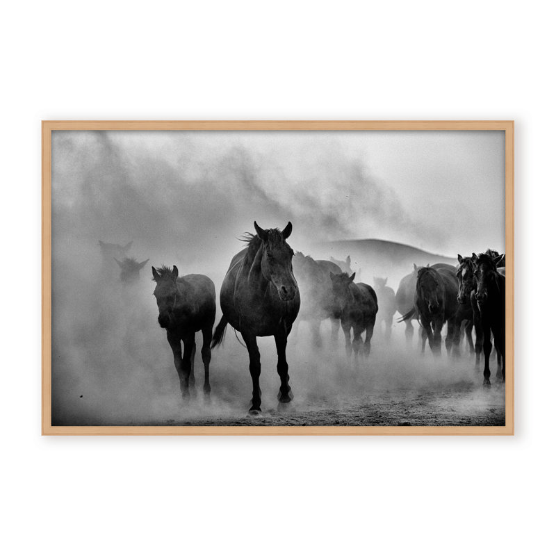 Nature Inspired Untitled by  - Picture Frame Photograph on Paper, 16" H x 24" W x 1.125" D, Black, Framed Matted Print