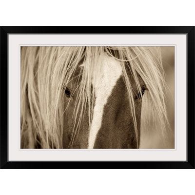 Kemani " The Blonde " by Lisa Dearing
