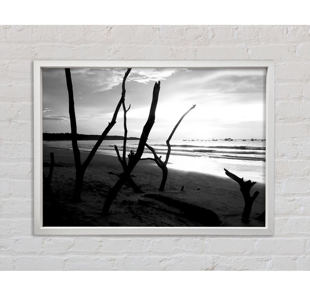 Driftwood Beach B N W - Einzelbildrahmen Kunstdrucke auf Leinwand