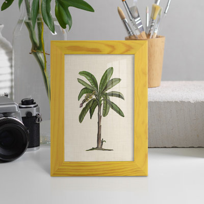 UA CH British Palms II " UA CH British Palms II "