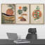 " Boho Mid-Century Tropical Plant Collage Abstract Shapes Modern Art Decor Minimal Relax/Zen " 3 - Pieces-98696534-98696535