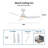 Raenah 44'' Ceiling Fan with LED Lights