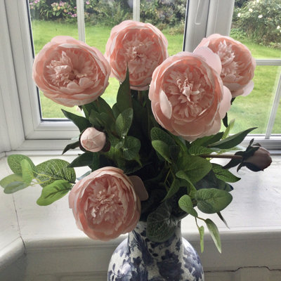 Frilled Peony