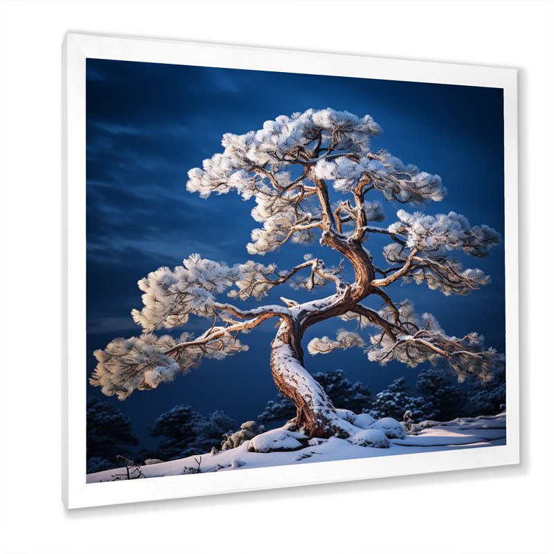 Bonsai pureté en hiver sur toile, Cadre simple blanc, H 36 po x l 36 po x P 1,5 po