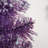 Regular (Full) Artificial Christmas Tree with Purple Needles