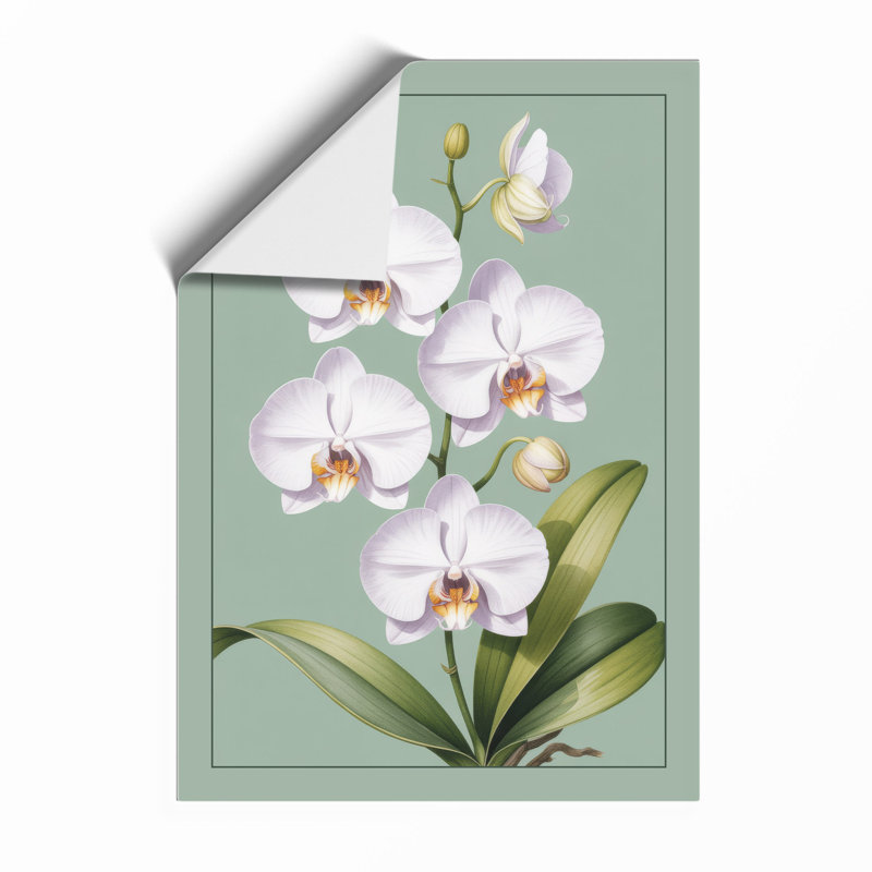 White Orchids In Bloom Botanical - Print, Unframed, A2 - 59.4 x 42.0 cm