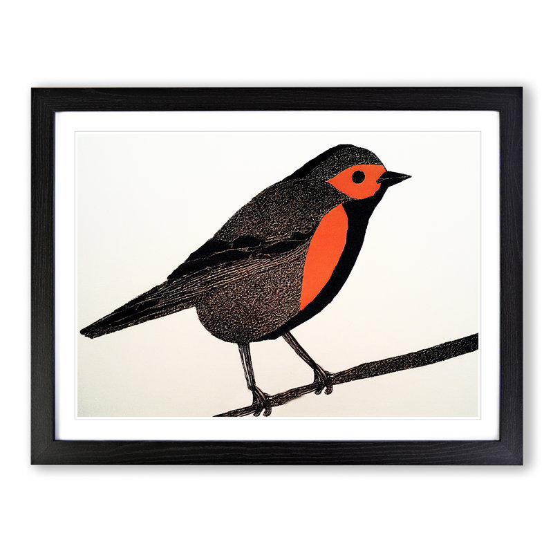 Shining Robin Bird - Framed Print, 34cm H x 46cm W x 2cm D, Black