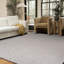 Tapis gris clair lavable à la machine Brenly-1683559529