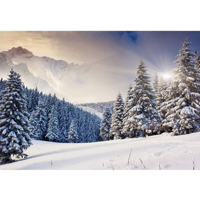 Winter Landscape Overcast Sky