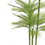 TREE PALM GROWER 7FT