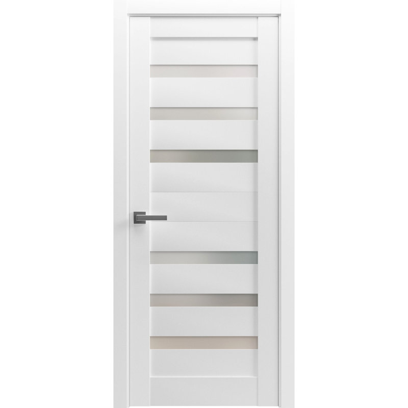 Porte-fenêtre en verre givré massif | Quadro 4266 | Poignée simple à panneau régulier | Portes de salle de bain robustes
