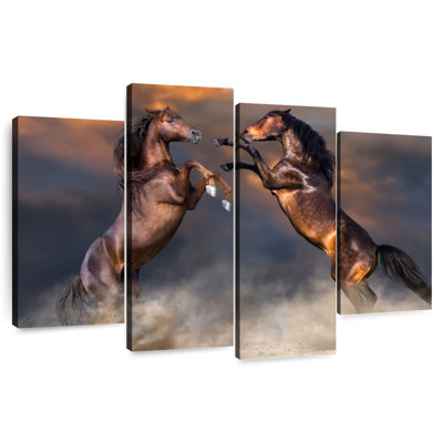 Rearing Arabian Horses