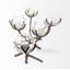 Vine Candelabra-1865400717