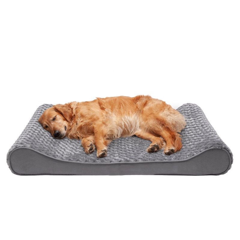 Cream Medium Orthopedic Foam Ergonomic Pet Bed