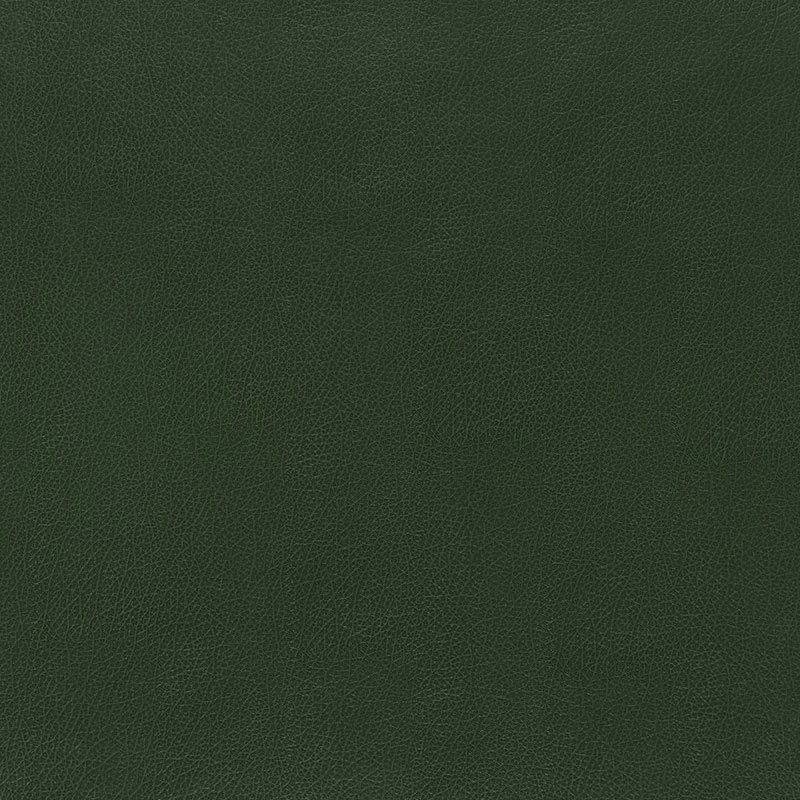 Canyon Leather Wallpaper, Hunter