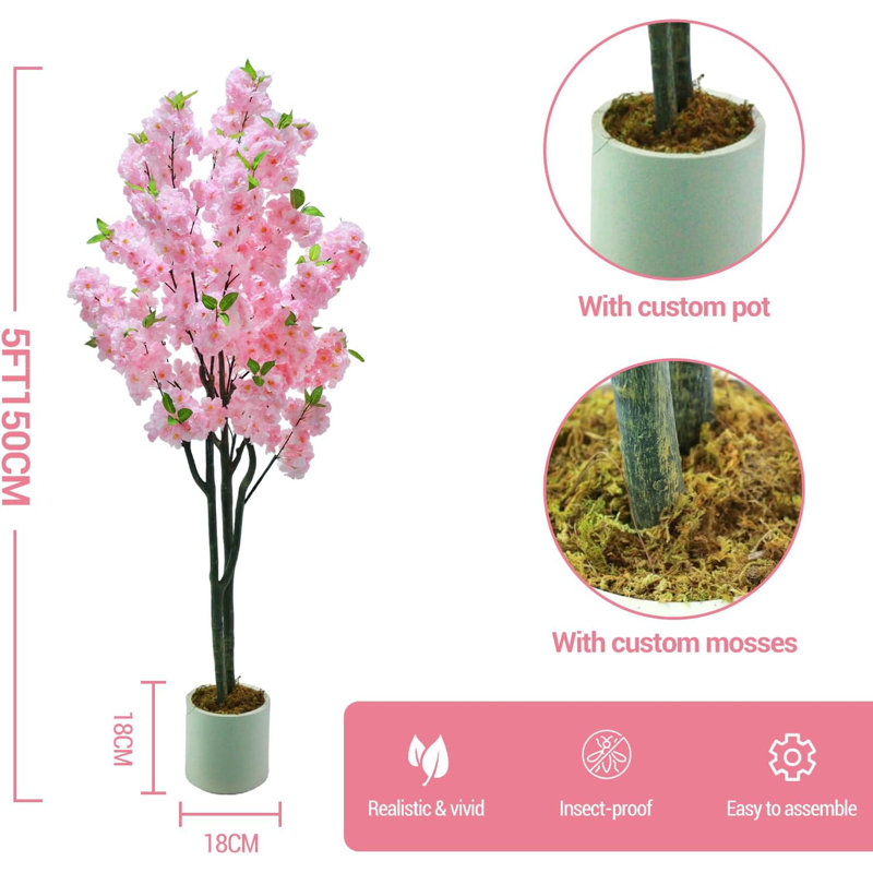 150cm Plant