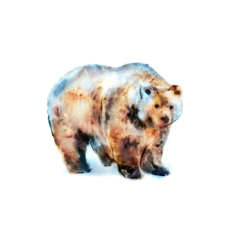Bear II by Edward Selkirk - Wrapped Canvas Gallery-Wrapped Canvas Giclée, 20.32 cm H x 30.48 cm W