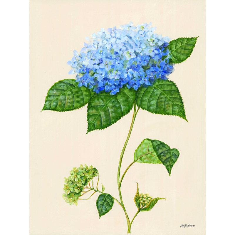 " Blue Hydrangea ", 16" H x 12" W  