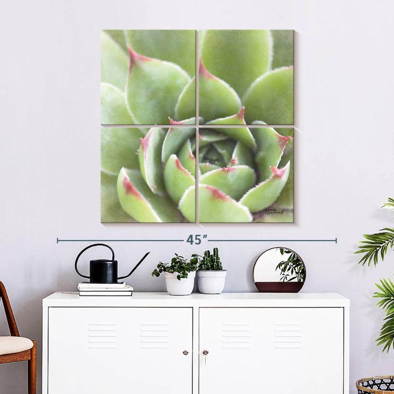 Harnek Garden Succulents III