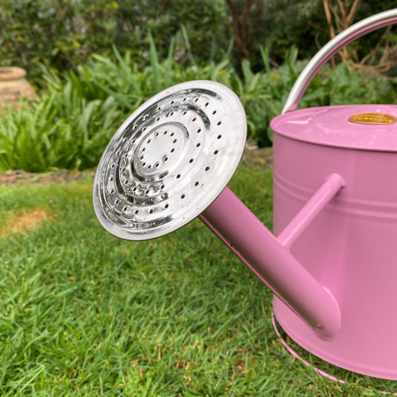 Metal Watering Can
