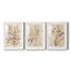 Parchment Coral I - ensemble de 3 reproductions de cadres photo-207375887-207375878