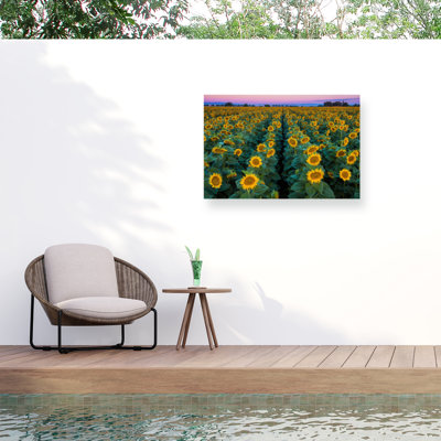 Toile d'extérieur «Dawn Sunflowers» par John Gavrilis