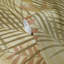 Rouleau de papier peint en vinyle 3D gaufré Patrick-1093640840-1172327331