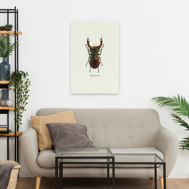 Coléoptère rouge - art animaux et insectes, H 24 po x l 16 po