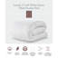 Ensemble de 2 pièces en duvet: édredon en duvet blanc et lit en duvet -87897170