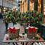 1.67' H Artificial Pine Christmas Tree