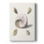 Pastel Knorr Shells II - galerie Cavas sur mesure-886468637