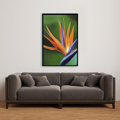 " Bird Of Paradise Flower "