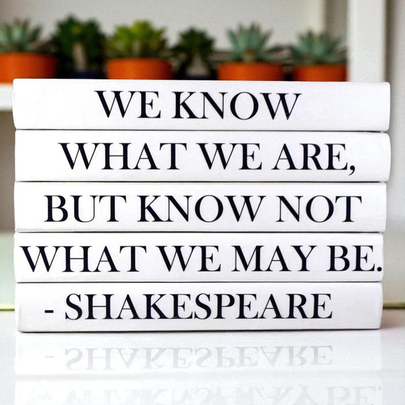 Entertainment Decorative Book