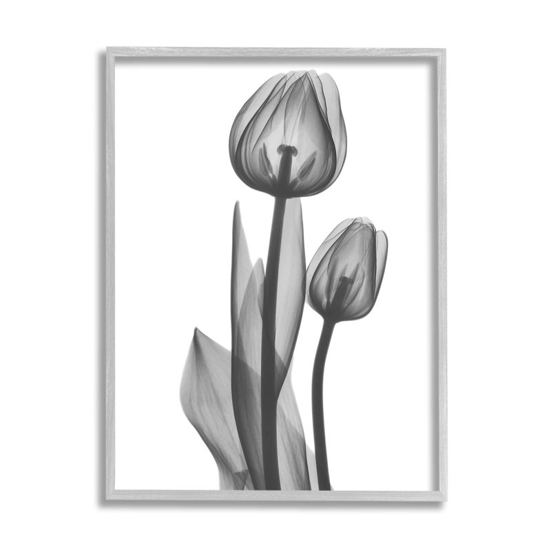 Giclée contemporaine transparente encadrée par Albert Koetsier, H 20 po x l 16 po x P 1,5 po, Cadre flottant gris lustré