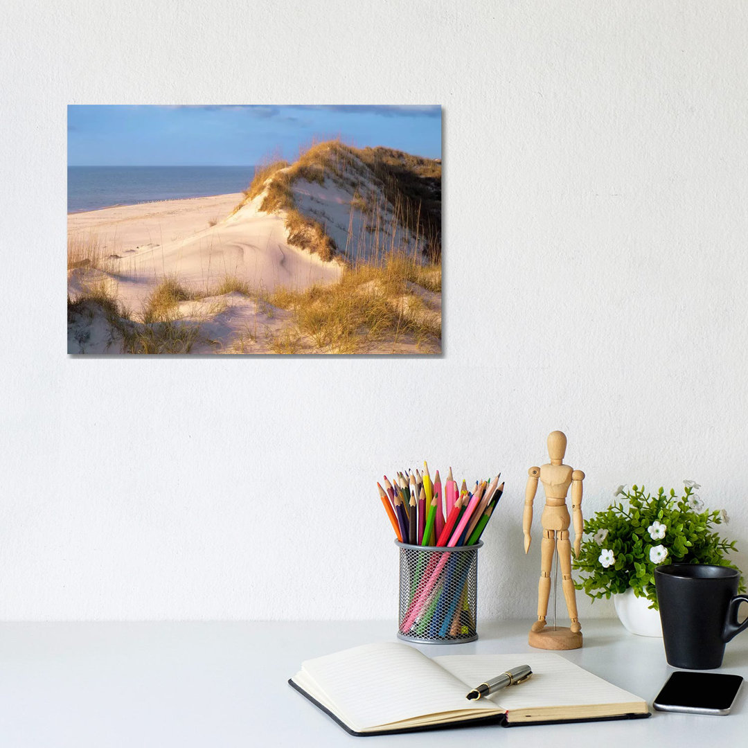 Sanddünen an der Küste, Saint Joseph Peninsula, Florida von Tim Fitzharris - Giclée auf Leinwand ohne Rahmen