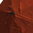 Delora 132'' Market Umbrella-532114390-526733646