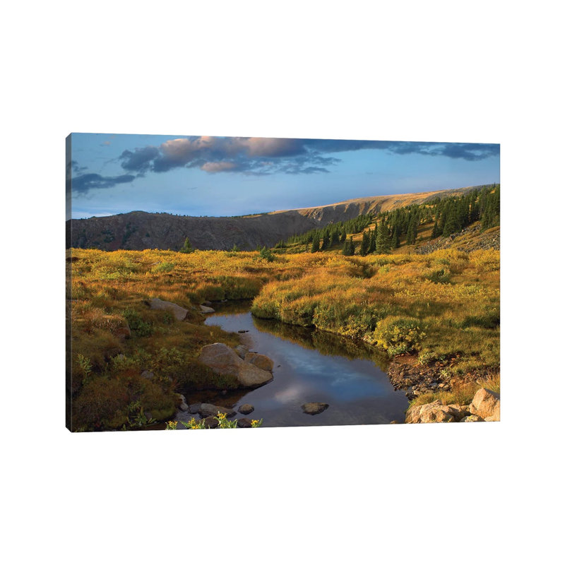 Ponderosa Pine Trees In Prairie Landscape, Black Hills, South Dakota by Tim Fitzharris - Wrapped Canvas Print