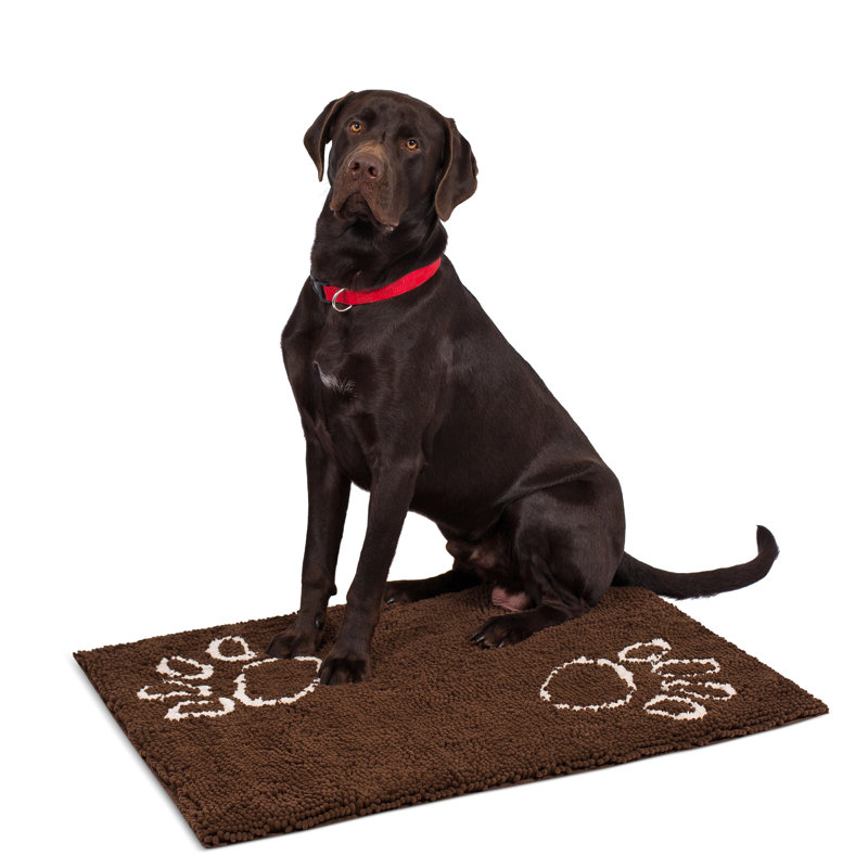 Non-Slip Indoor Doormat