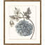 Azure Botanical 5 Print