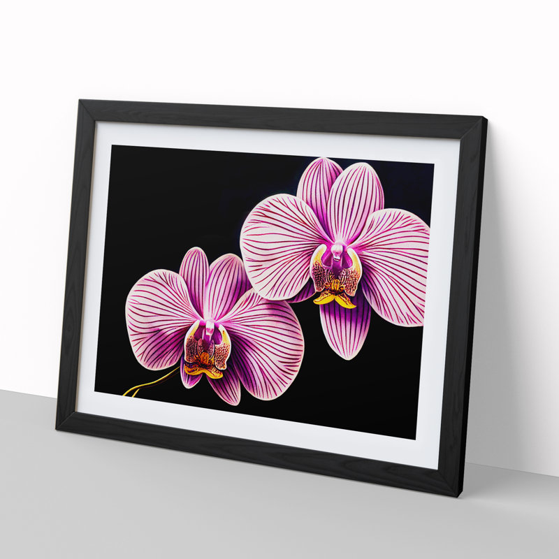 Head Turning Orchid Flowers - Single Picture Frame Print, 46cm H x 64cm W x 2cm D, Black
