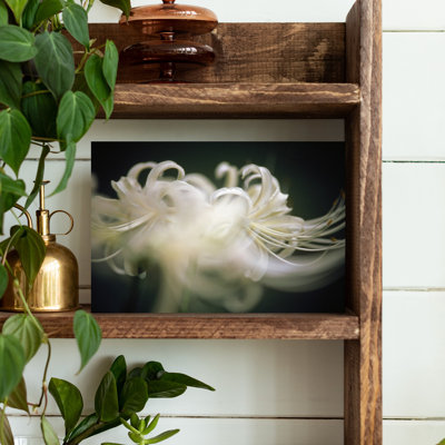 Art mural contemporain avec fleur blanche délicate et étamine