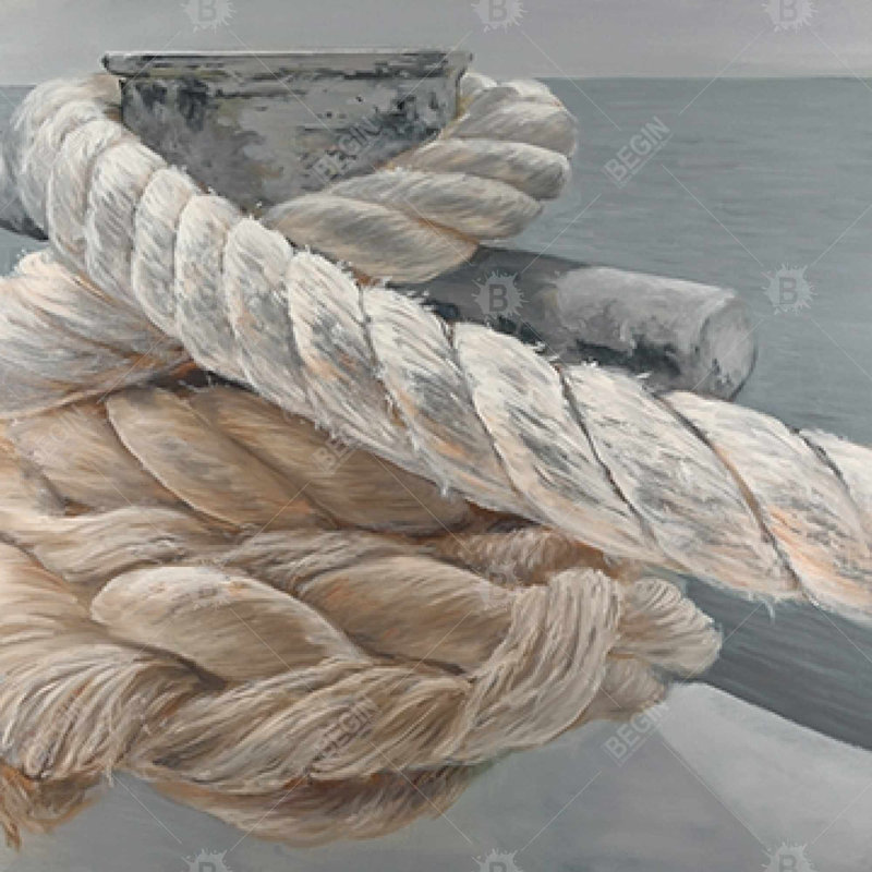 " Tie-down Ropes Closeup ", Gray
