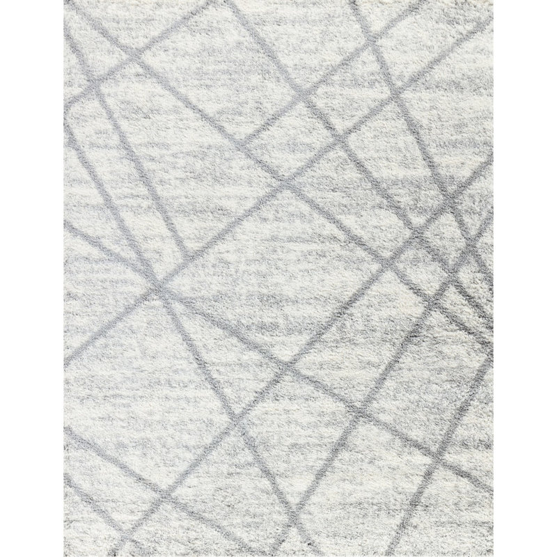 1.18" Pile Height Grey Shag Rug, 5 Ft. 3 In. X 7 Ft., , Stain , & Pet , Turkey Made Area Pile, Enhances Home Appeal, In