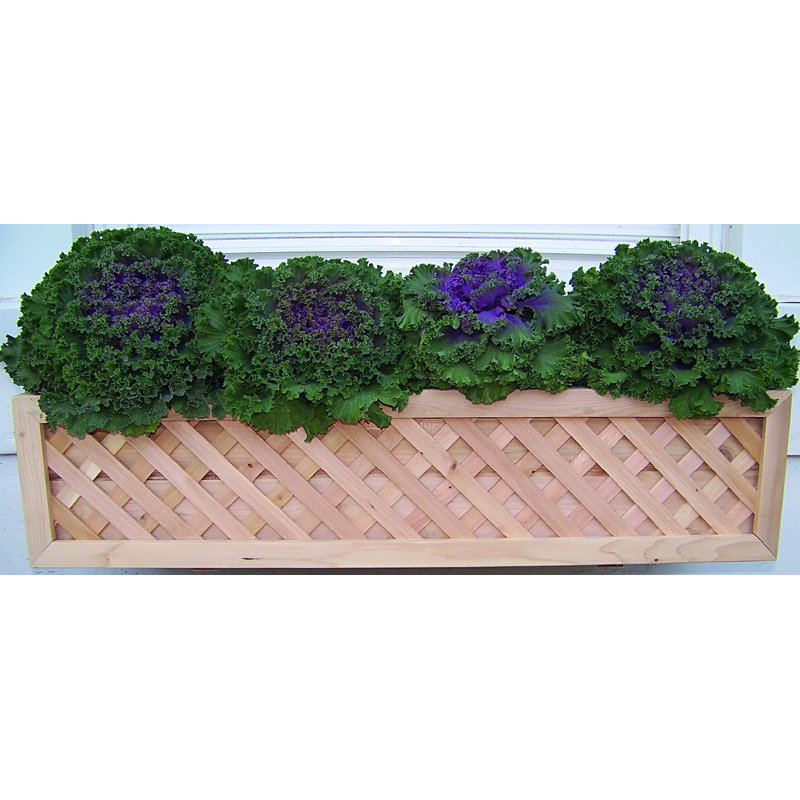 Boîte à fleurs pour fenêtre Dineen, H 8 po x l 37,75 po x p 11,5 po